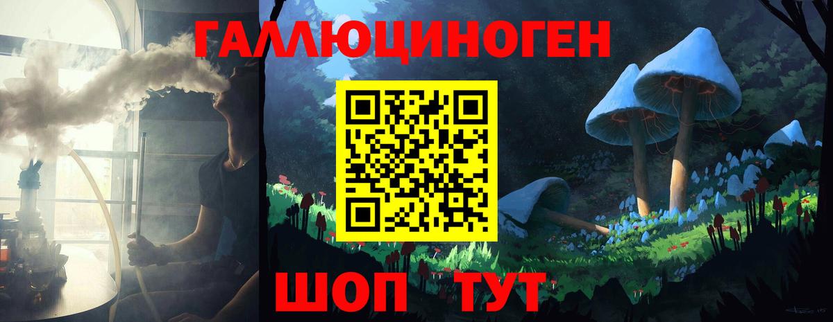 Псилоцибиновые грибы Psilocybine cubensis  Вход с VPN  Артём 